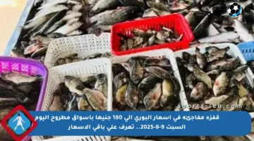 قفزة مفاجئة في أسعار البورى إلى 180 جنيها بأسواق مطروح اليوم السبت 9-8-2025.. تعرف على باقي الأسعار